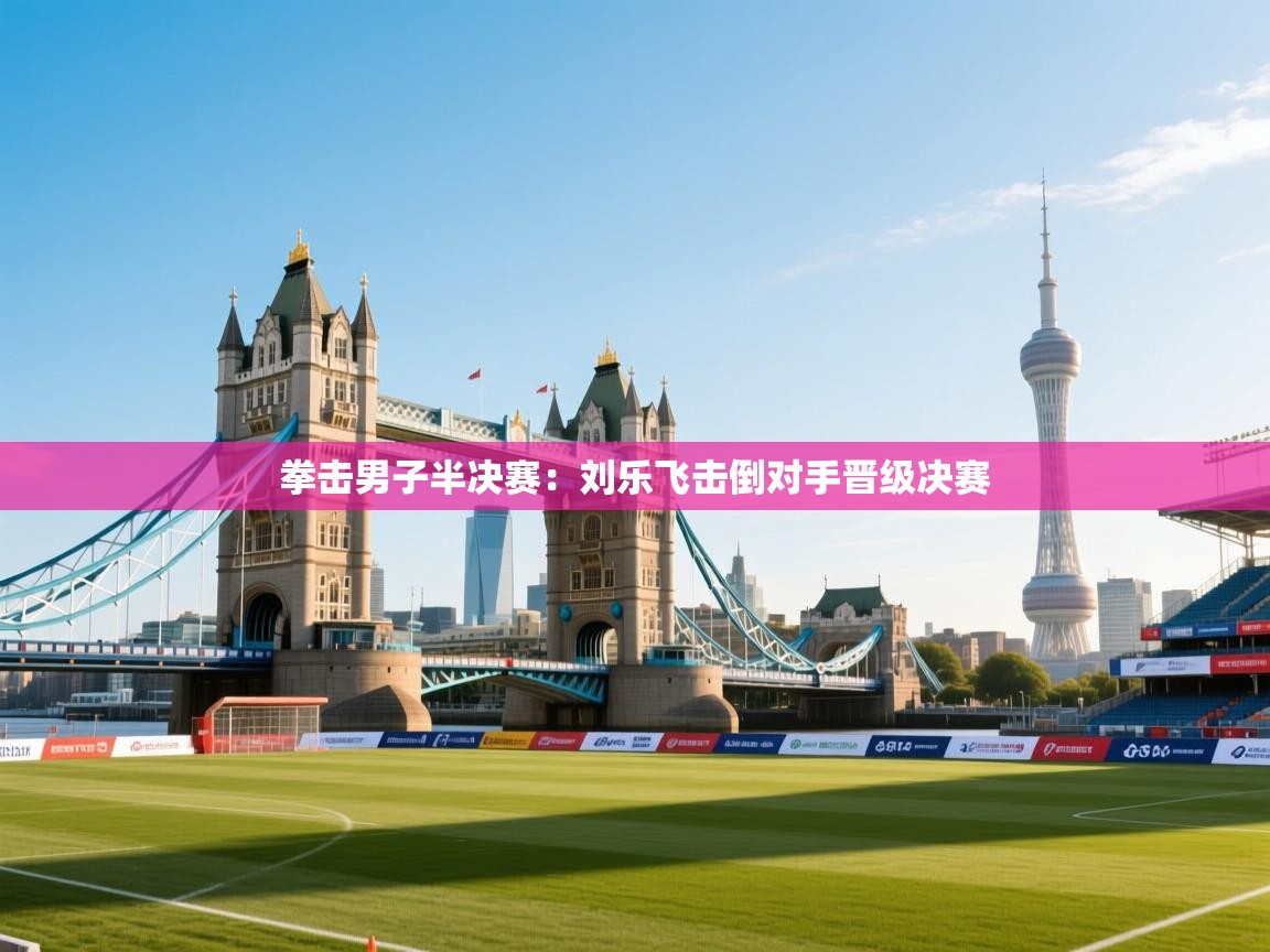 拳击男子半决赛：刘乐飞击倒对手晋级决赛  第1张