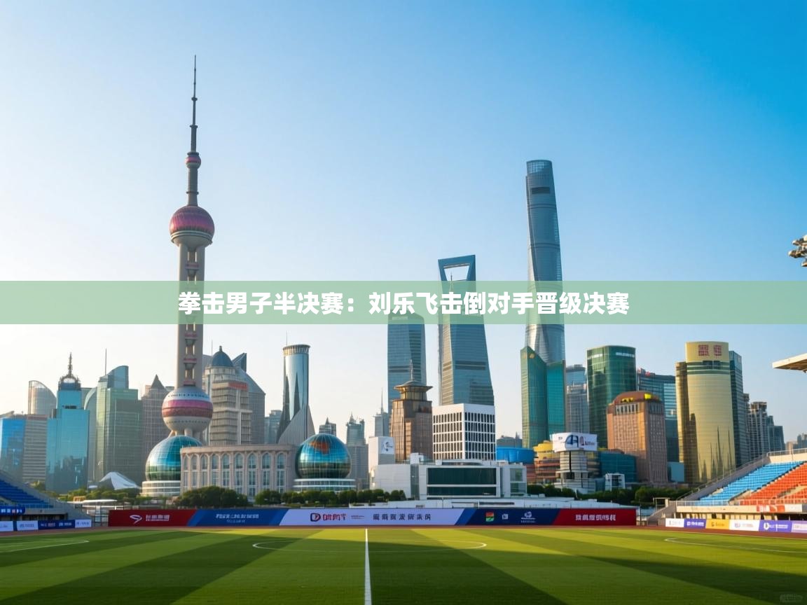 拳击男子半决赛：刘乐飞击倒对手晋级决赛  第2张