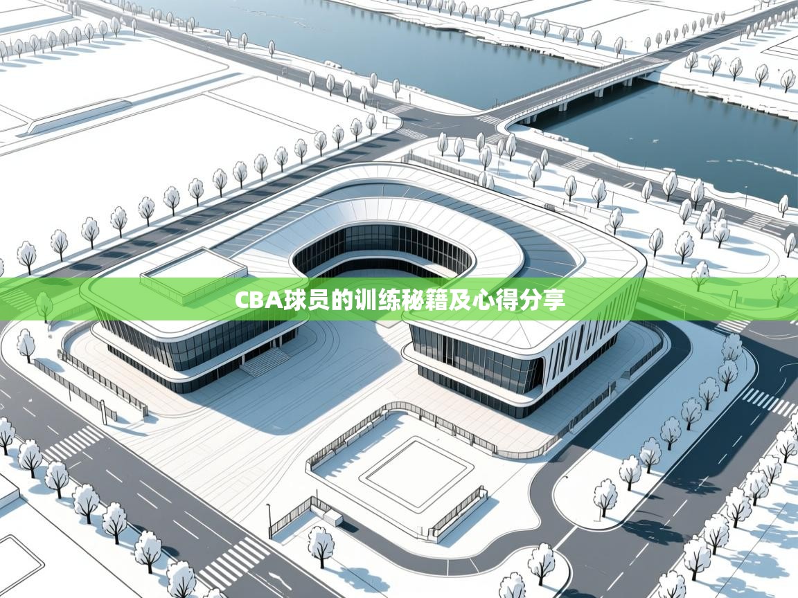 CBA球员的训练秘籍及心得分享  第1张