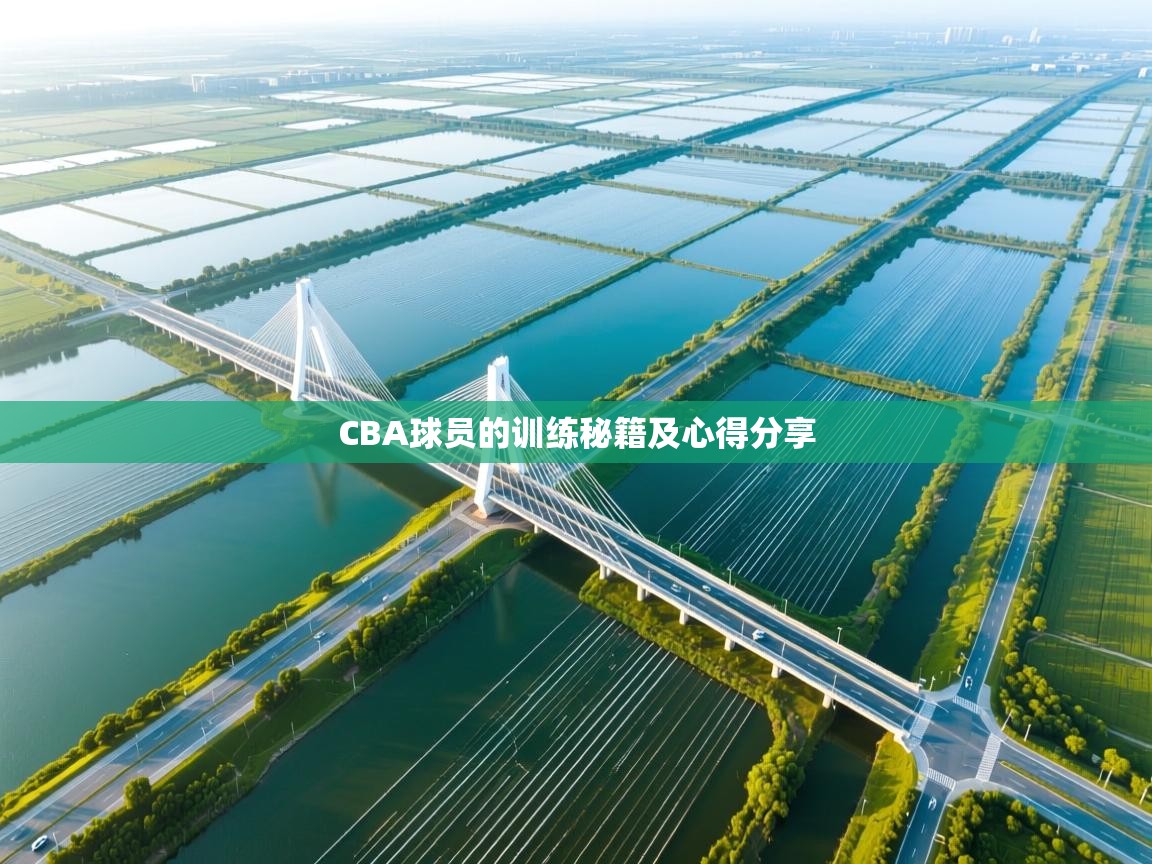 CBA球员的训练秘籍及心得分享  第2张