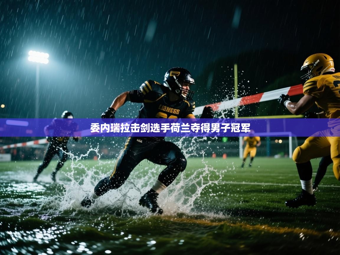 委内瑞拉击剑选手荷兰夺得男子冠军  第1张